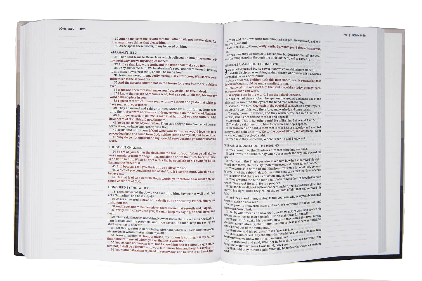 Cheetah Print KJV Journaling Bible King James Version